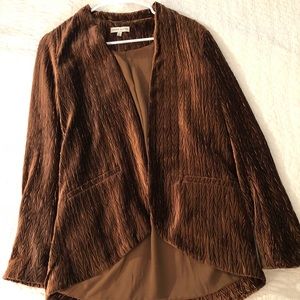 Bronze Velvet Jacket